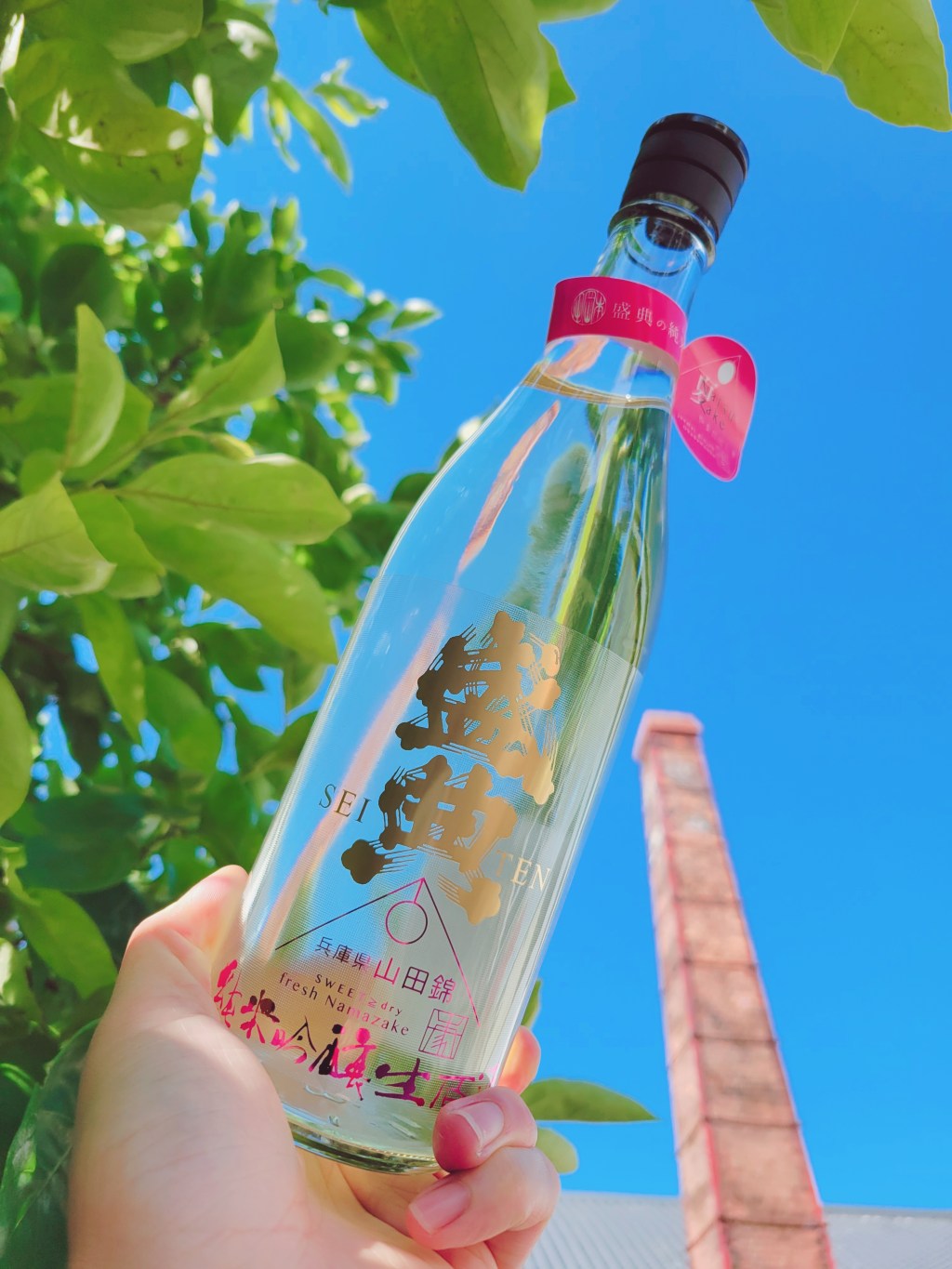 『盛典 夏酒 純米吟醸生原酒』発売中！